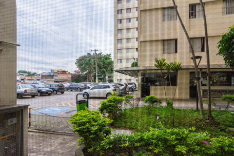 Image 3 - 335254