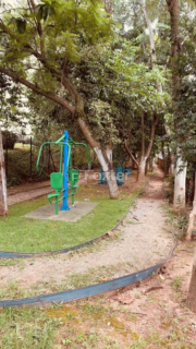 Image 38 - 337532