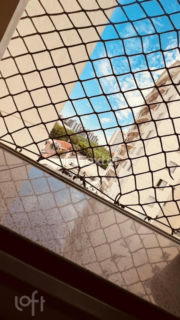Image 10 - 337532