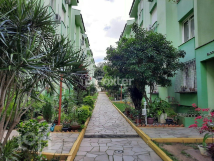Image 24 - 338785