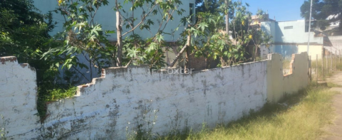 Image 6 - 340315