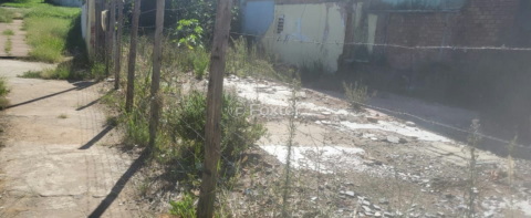 Image 7 - 340315
