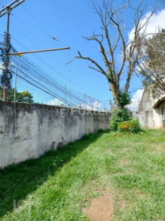 Image 7 - 372961