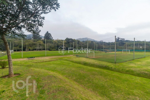Image 77 - 375234