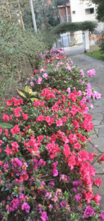 Image 9 - 404294