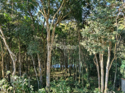 Image 32 - 404560