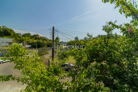 Image 17 - 407919
