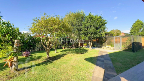 Image 21 - 426906