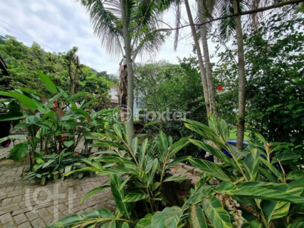 Image 36 - 431616