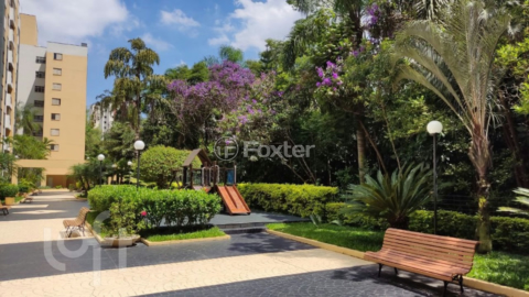 Image 38 - 438252