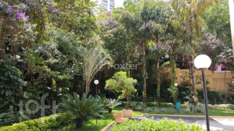 Image 29 - 438252