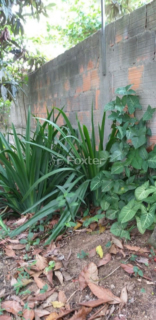 Image 9 - 445906