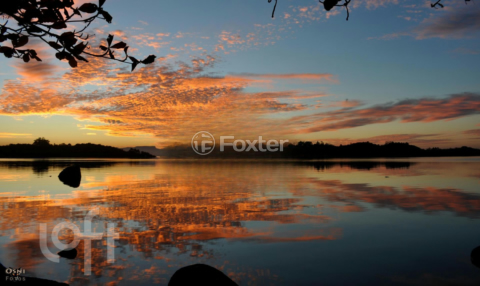 Image 36 - 445910