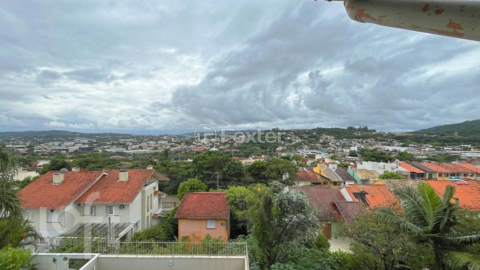 Image 52 - 446034