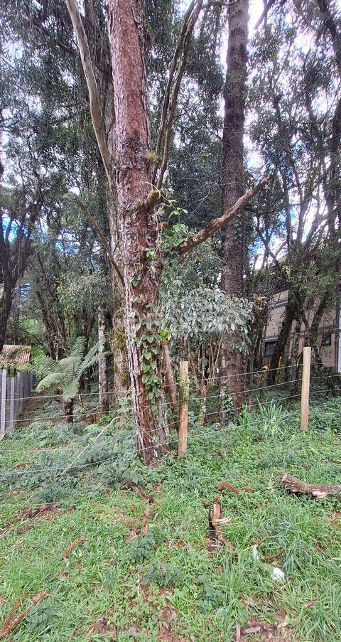 Image 8 - 448190