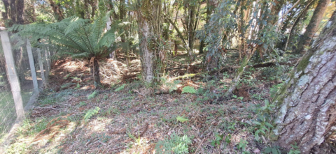 Image 15 - 448190
