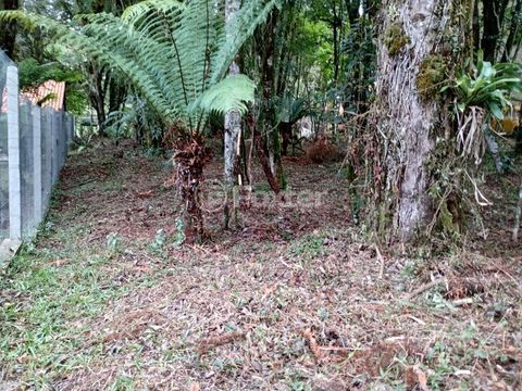 Image 5 - 448190