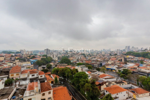 Image 74 - 474454
