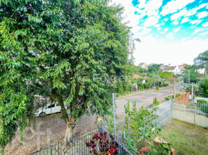 Image 33 - 523985