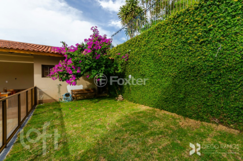 Image 48 - 537843