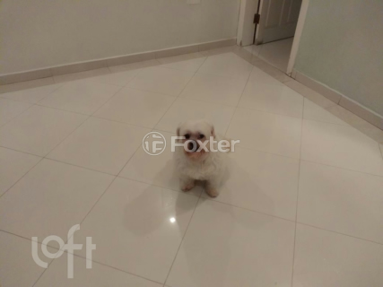 Image 1 - 545905