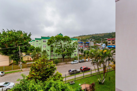 Image 7 - 548744