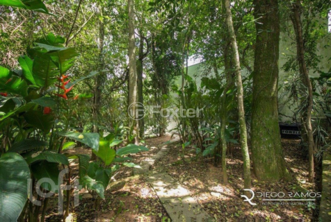 Image 62 - 549721