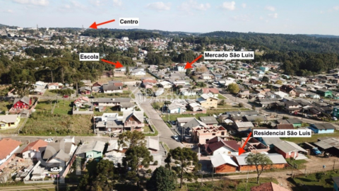 Image 25 - 553442