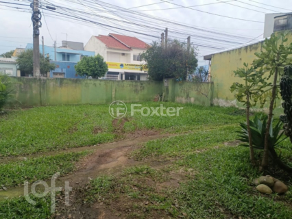 Image 5 - 555742