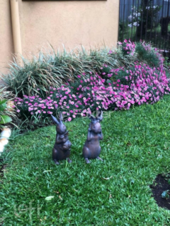 Image 9 - 556329
