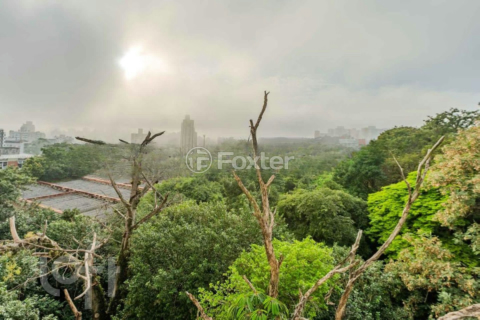 Image 11 - 556407