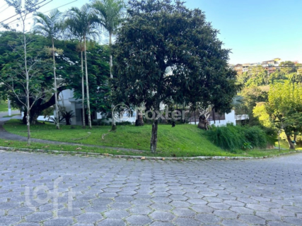 Image 39 - 562885