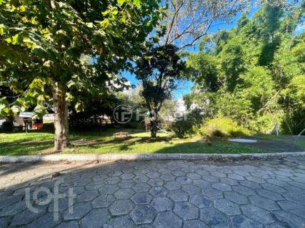 Image 37 - 562885