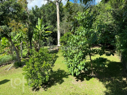Image 40 - 565245