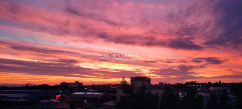 Image 41 - 567492