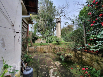 Image 14 - 567496