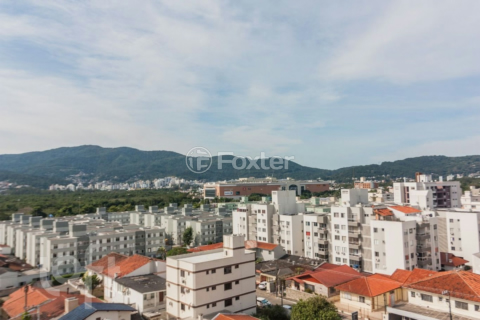 Image 58 - 589284