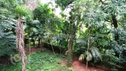 Image 11 - 590429