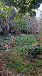 Image 5 - 619505
