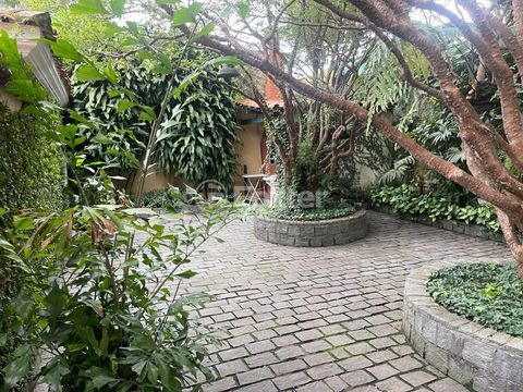 Image 19 - 628024