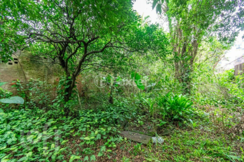 Image 30 - 628310