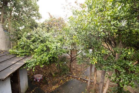 Image 38 - 727311