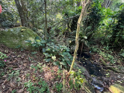 Image 13 - 727444