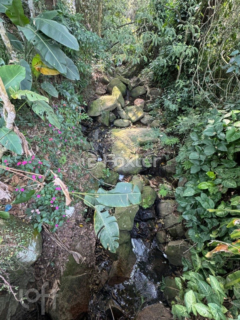 Image 11 - 727444