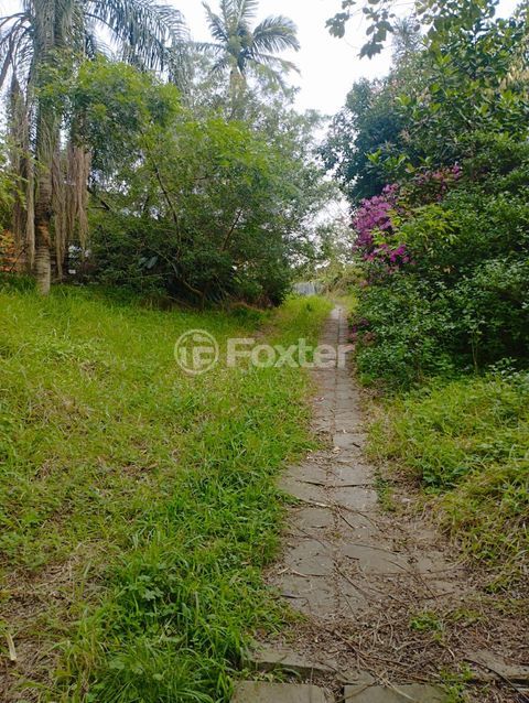 Image 4 - 728729