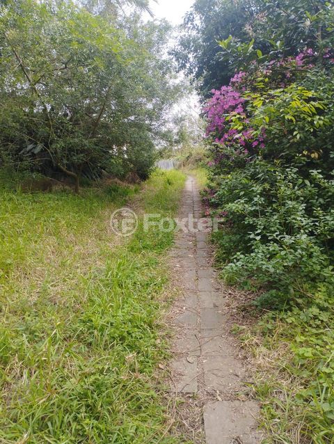 Image 5 - 728729