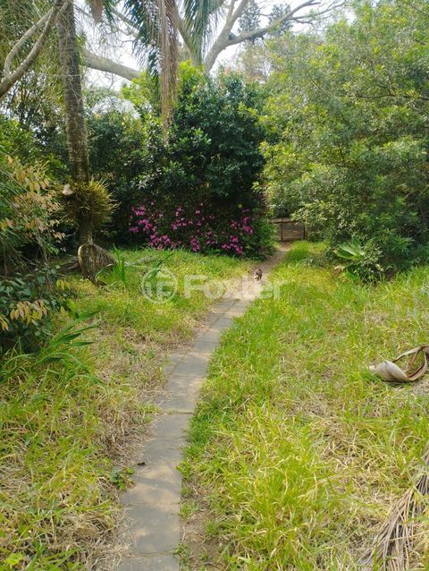 Image 3 - 728729