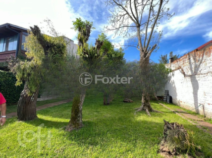 Image 26 - 729882