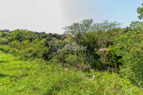 Image 56 - 734632