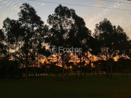 Image 27 - 746889